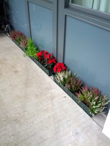 3 altankasser med blomster og krydderurter