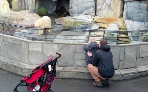 Far og Ida hilser på isbjørnen Ivan