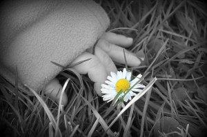 En lille tyk hånd og en lille blomst