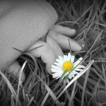 En lille tyk hånd og en lille blomst